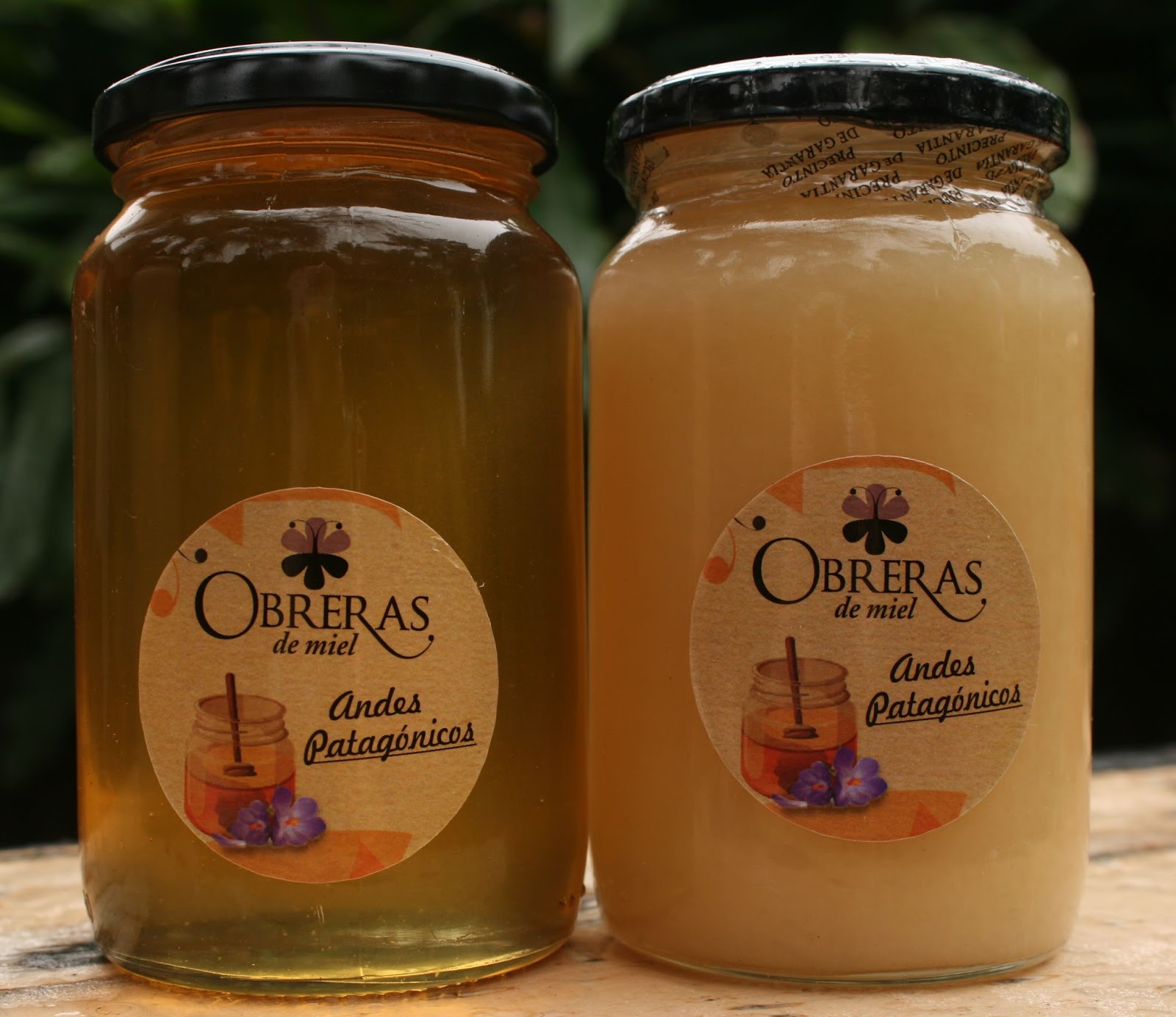 Obreras de miel